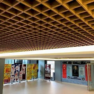 honeycomb ceiling 2
