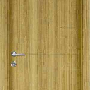 pvc door